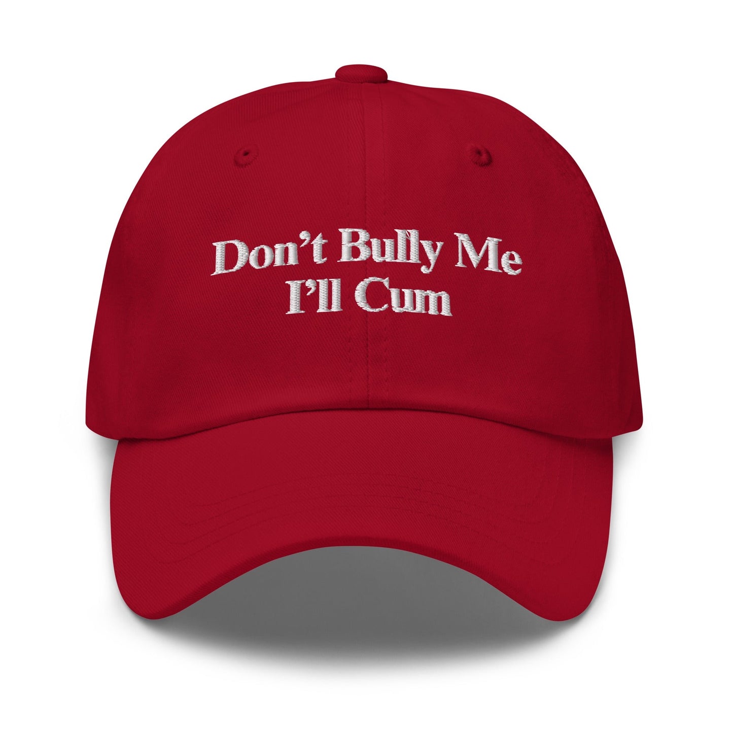 Don't Bully Me I'll Cum Hat